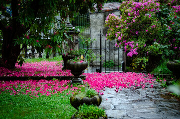 Natura intorno al Lago Maggiore