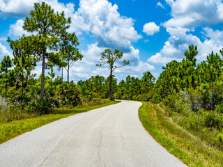 Webb Lake Road in Babcock Webb Wildlife Management Area in Punta Gorda Florida USA