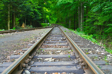 Old railroad in green forest