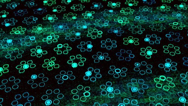 Bright blue and green background with many schematic flowers formed by moving circles. Animation. Seamless loop motion of same size geometric figures on a dark background.