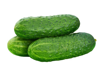 three fresh cucumbers isolated on white background.