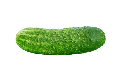 fresh cucumber isolated on white background.