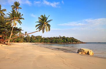 Empty tropical beach with coconut palms  and big stone, Bintan Island, Indonesia.