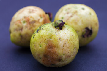 selective focus of rotten guavas.