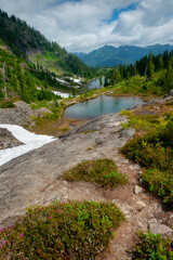 Fototapeta na wymiar Heather Meadows in the Mt. Baker-Snoqualmie National Forest. You’ll find fantastic subalpine wildflower displays with heather and huckleberry meadows and hiking trails with fantastic views.