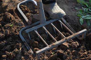 A farmer in Russia digs the ground with a ripper shovel.