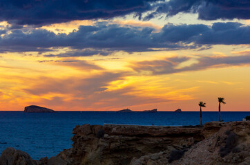 landscape ibiza with palm and red sunset