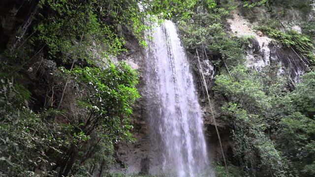 waterfall in the tropical jungle seen from the bottom in the middle of a green natural forest.