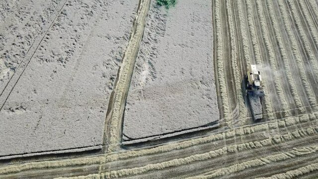 Une moissonneuse dans un champ de bl&eacute; pour la r&eacute;colte saisonni&egrave;re  