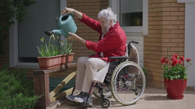 Grey-haired disabled retiree watering flowers on sunny summer day on backyard porch. Side view wide shot of positive Caucasian old man taking care of plants outdoors. Hobby and lifestyle concept