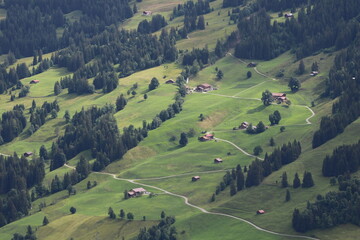 Fototapeta na wymiar Green meadow, forest and houses in Gsteig bei Gstaad.