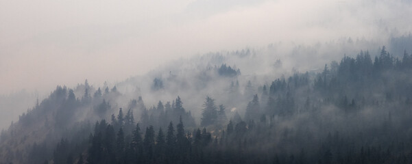 Trees on the side of a mountain in a valley covered by smoke from Forest Wildfire. Nature Disaster....