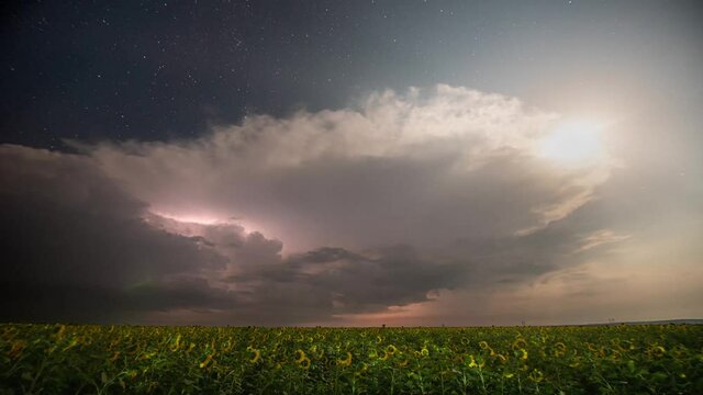 Time-lapse. Beautiful thunderstorm with clouds, lightning and moon over a field with sunflowers at night.