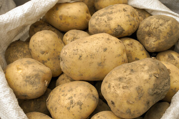 fresh potatoes on the market