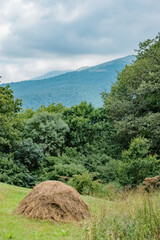 landscape with a tree and clouds