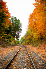 Railroad tracks in the middle of nowhere cutting through fall colored autumn trees changing colors_09