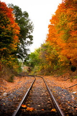Railroad tracks in the middle of nowhere cutting through fall colored autumn trees changing colors_08