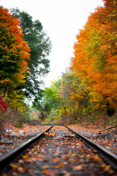 Railroad tracks in the middle of nowhere cutting through fall colored autumn trees changing colors_06