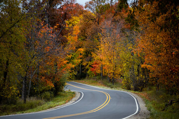 A countryside road running through a thick forest of autumn fall colored trees in the midwest_05