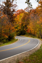 A countryside road running through a thick forest of autumn fall colored trees in the midwest_01