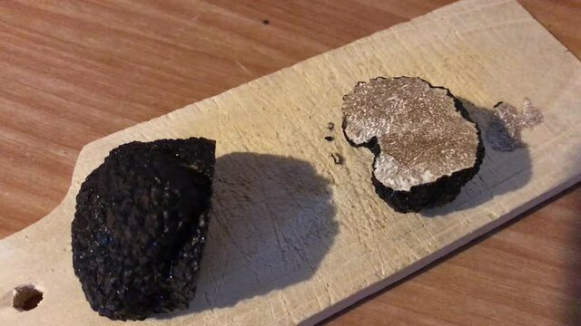 cutting a summer black truffle in the kitchen