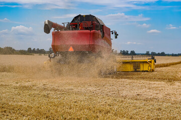 Combine harvester in action on wheat field. Process of gathering ripe crop from the fields....