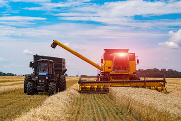 Agriculture process in wheat field during the sunny day with blue sky. Heavy technics. Rural landscape. Harvest time