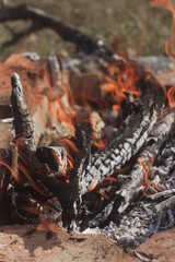 fire in the forest