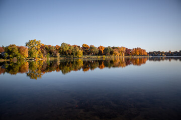 Fall colored leaves on autumn trees in a forest reflecting on a lake during golden hour in the midwest_21