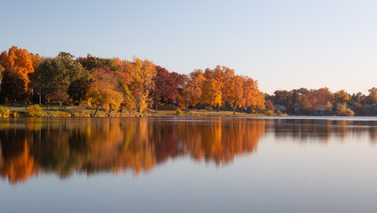 Fall colored leaves on autumn trees in a forest reflecting on a lake during golden hour in the midwest_13 - Powered by Adobe