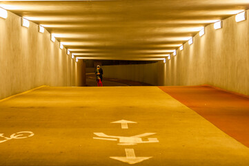 samotnie w tunelu 2