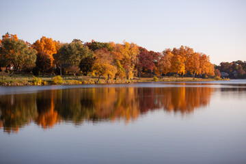 Fall colored leaves on autumn trees in a forest reflecting on a lake during golden hour in the midwest_12
