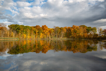 Fall colored leaves on autumn trees in a forest reflecting on a lake during golden hour in the midwest_08