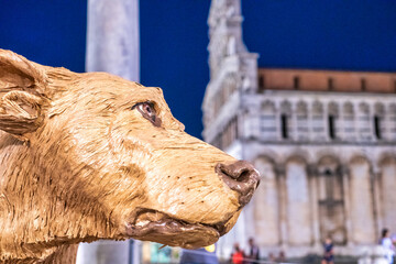 Dog head at night in Lucca, St Michael Square - Italy. - obrazy, fototapety, plakaty