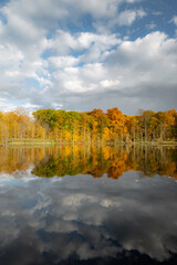 Fall colored leaves on autumn trees in a forest reflecting on a lake during golden hour in the midwest_06