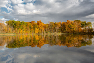 Fall colored leaves on autumn trees in a forest reflecting on a lake during golden hour in the midwest_05