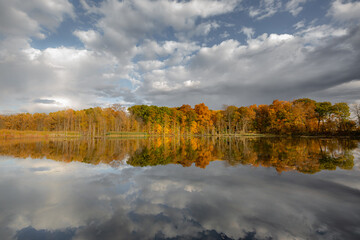 Fall colored leaves on autumn trees in a forest reflecting on a lake during golden hour in the midwest_04