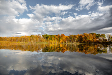 Fall colored leaves on autumn trees in a forest reflecting on a lake during golden hour in the...