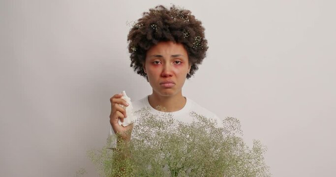 Curly haired unhappy woman suffers from allergic symptoms has reaction on trigger runny nose hay fever holds handkerchief holds bouquet of field flowers isolated over white studio background.