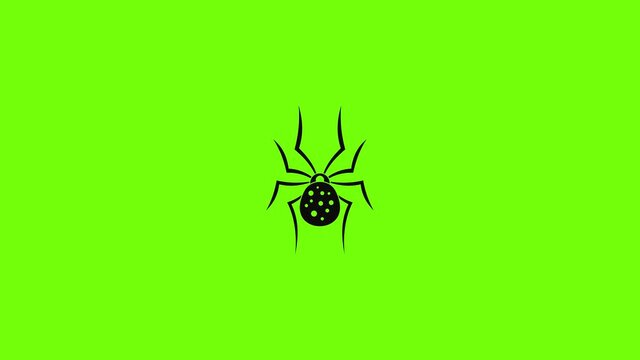 Spider icon animation