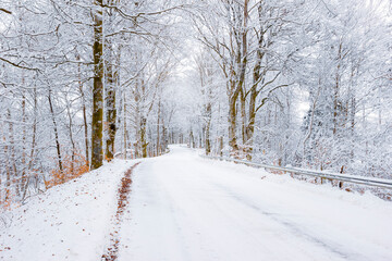 Obraz premium A Winter road on the Swedish woods, Getaryggarna, Värnamo