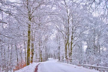 A Winter road on the Swedish woods, Getaryggarna, Värnamo
