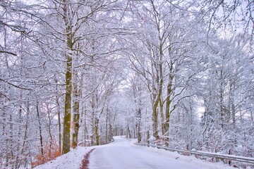 Obraz premium A Winter road on the Swedish woods, Getaryggarna, Värnamo