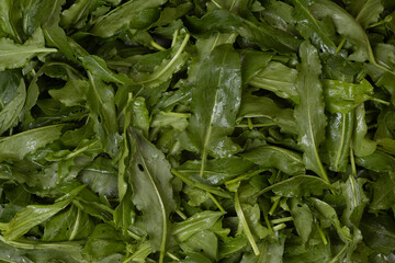 Fototapeta premium Fresh organic sorrel leaves pattern background for salad or soup