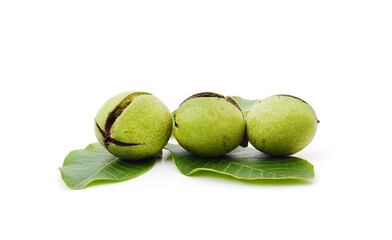 Group of green nuts.