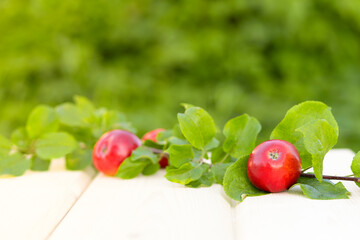 juicy ripe organic red apple on branch with green leaves on wooden background. harvesting in summer, autumn. copy space for juice, text