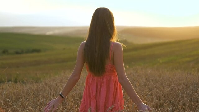 Back view of long haired happy young woman walking on golden wheat field at warm summer evening.
