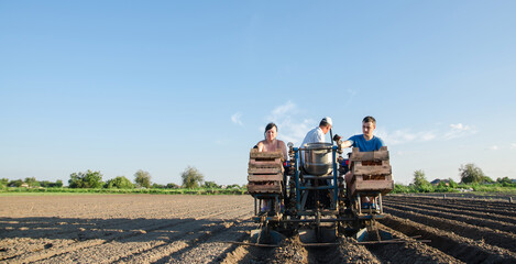 Workers on a tractor are planting potatoes. Automation of the process of planting potato seeds....
