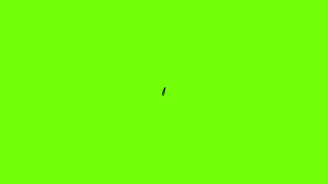 Bright feather icon animation