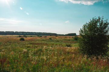 sunset in the countryside